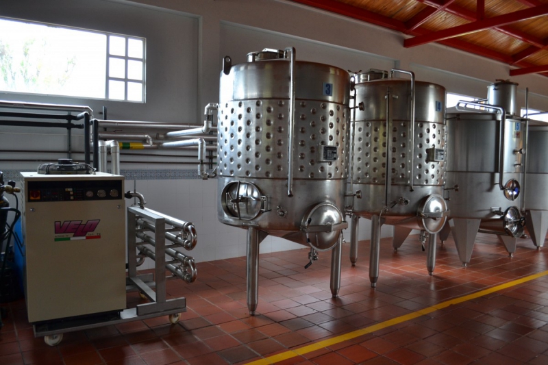 cave-BEZAUDUN LES ALPES-min_wine_production_cantine_winery_drink_alcohol_vine_beverage-902036